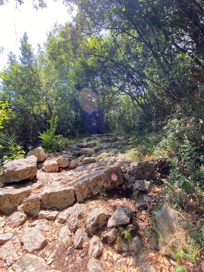 דירות הרצג-נובי Adria Sea & Mountains מראה חיצוני תמונה